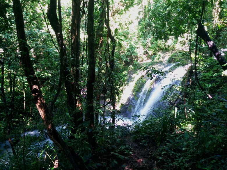 徒步旅行的完整指南曼努埃尔·安东尼奥的国家al Park - waterfall