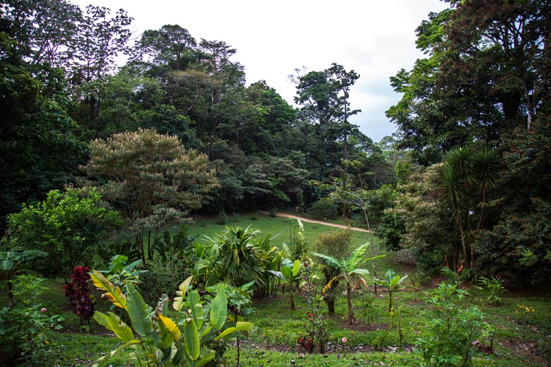 View of the gardens and forest from volcan Casita of Casitas Tenorio