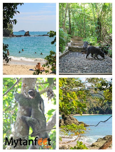 1 week Costa Rica itinerary - things to do in Manuel Antonio