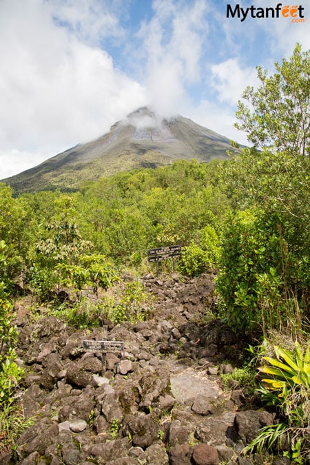 哥斯达黎加猴子之旅-arenal volcano national park