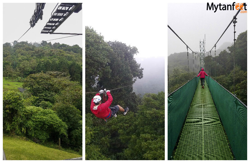 哥斯达黎加猴子之旅-monteverde sky adventures