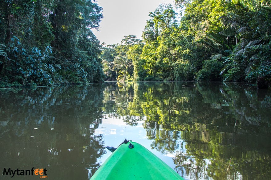 Two weeks in costa rica itinerary - Tortuguero national park kayaking