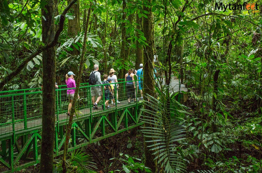 Mistico Arenal Hanging Bridges - guided walk