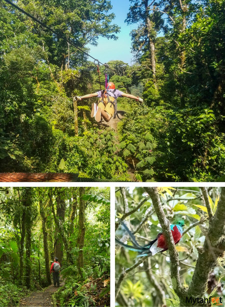 arenal and monteverde itinerary - monteverde things to do