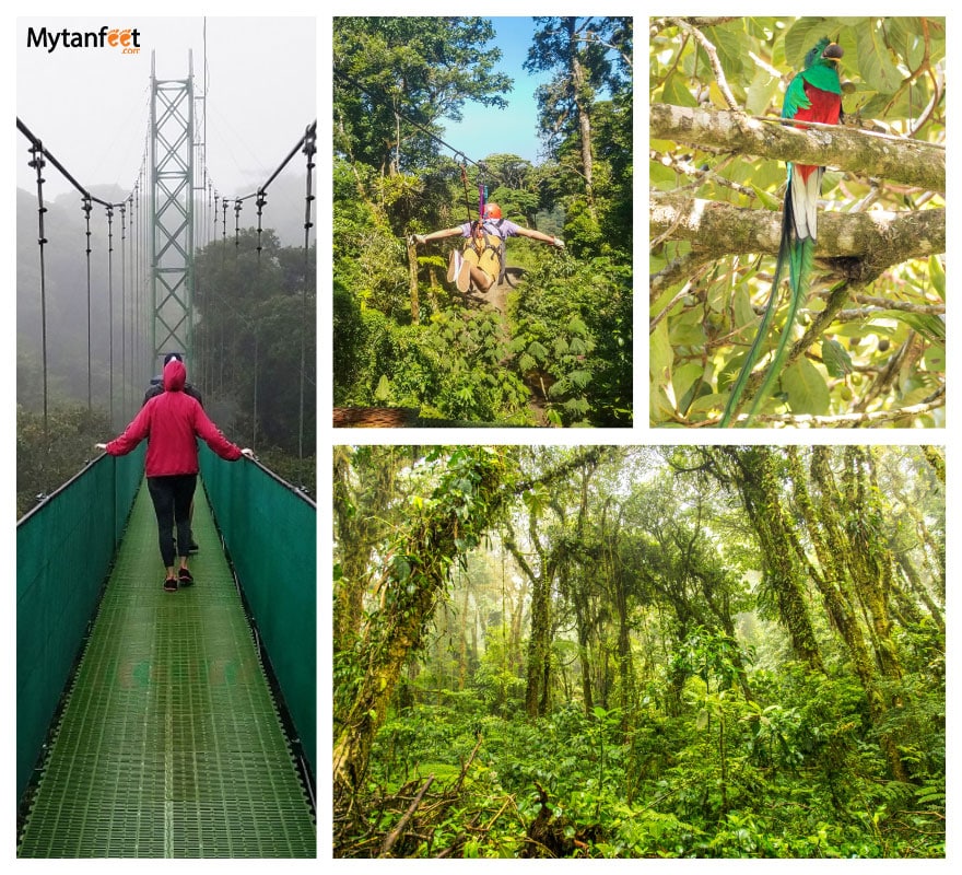 14 days in Costa Rica - Monteverde