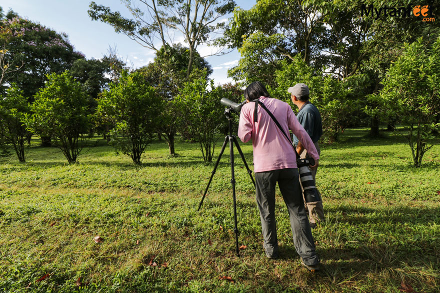 hiring a guide in Costa Rica - bird watching