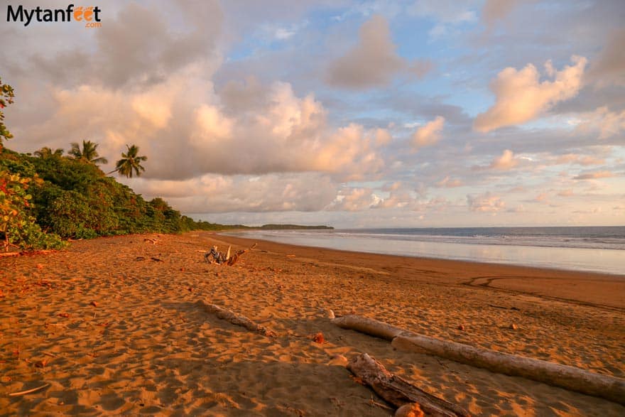 Dominical beaches