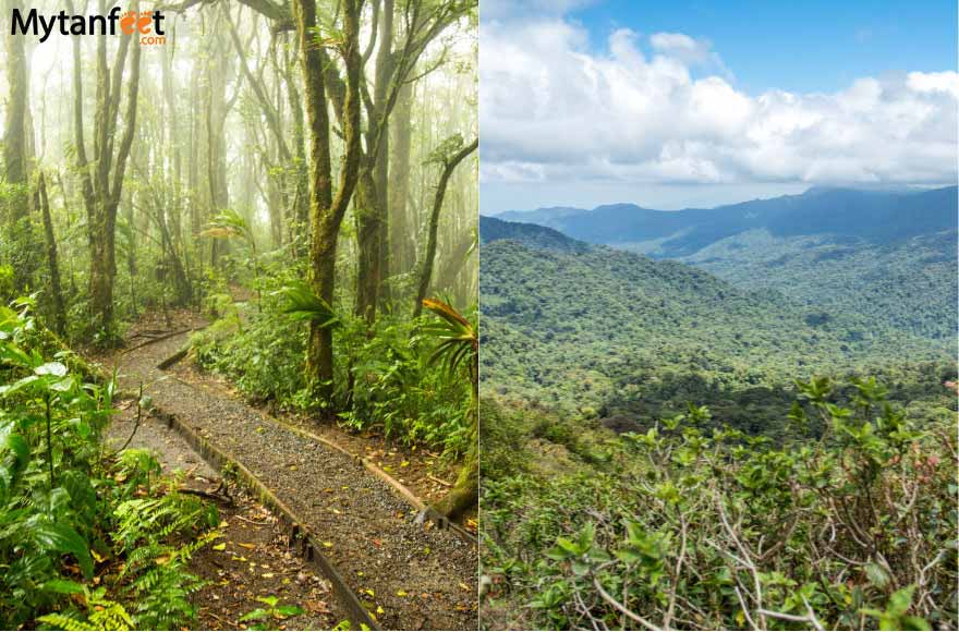 Santa Elena Monteverde。云森林保护区和alan pounds