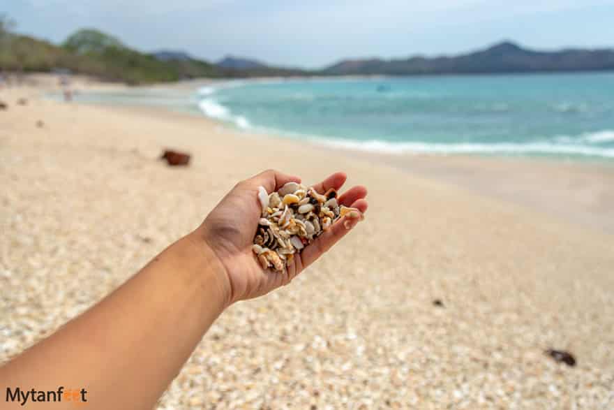 do's and dont's of costa rica - take shells