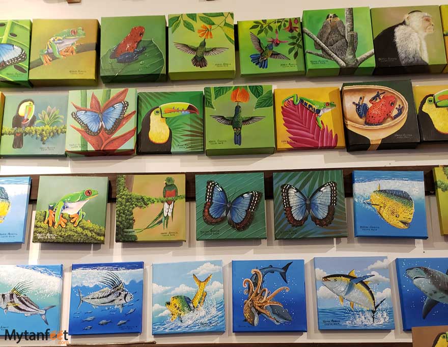 Costa Rican souvenirs - local paintings