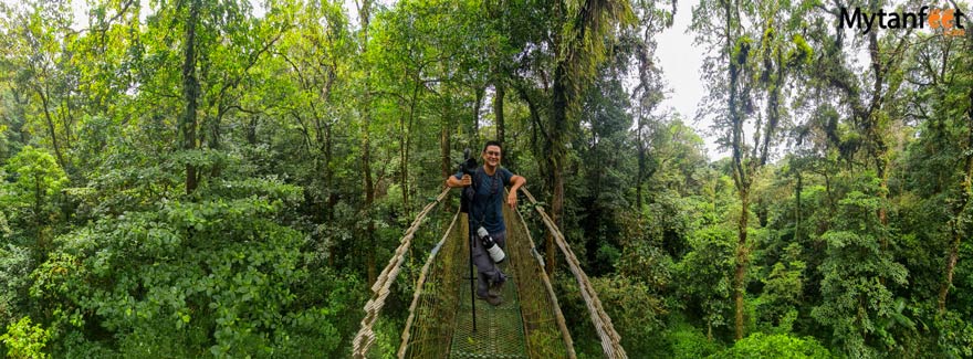 Guanacaste rainforest sloth tour -  heliconias rainforest reserve