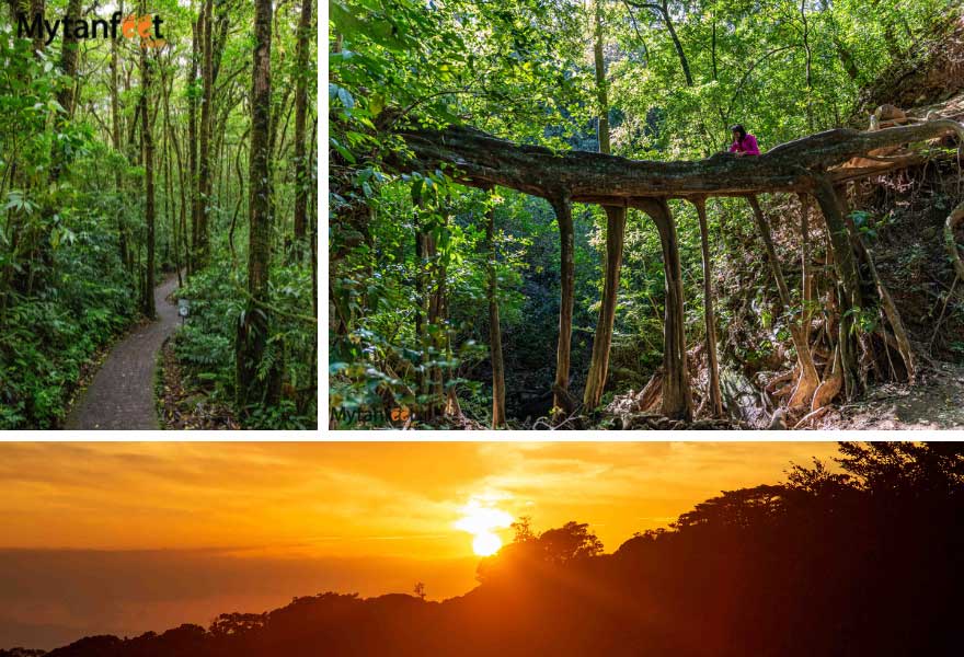 Costa Rica 11 days itinerary - Monteverde